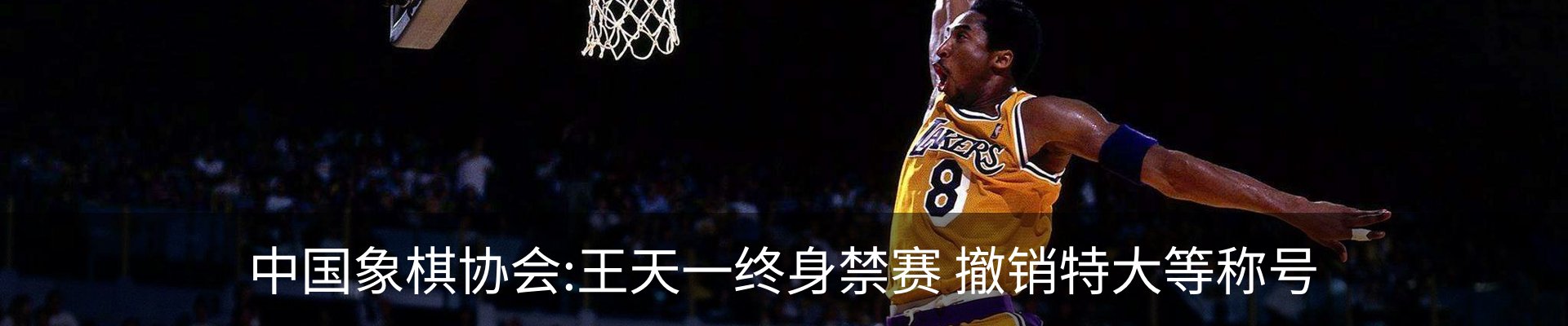 内页banner